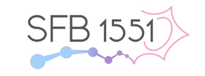 SFB 1551