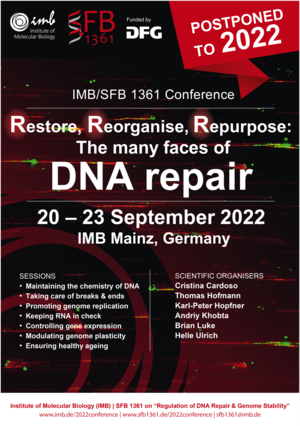 IMB/SFB 1361 Conference