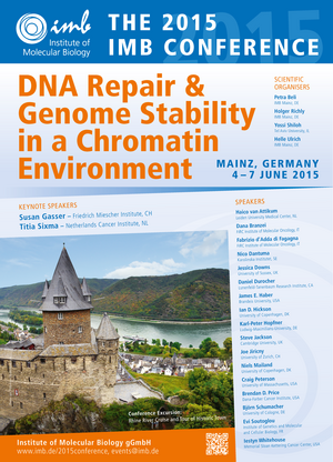 DNA Repair & Genome Stability in a Chromatin Environment