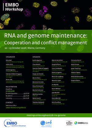 EMBO Workshop “RNA and genome maintenance: Cooperation and conflict management”