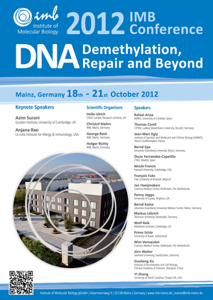DNA Demethylation, DNA Repair and Beyond